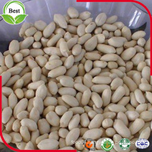 Whole Blanched Peanut Kernels 29/33